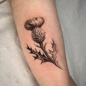 20 Jaw-Dropping Thistle Tattoos That Prove Thorns Can Be Breathtaking